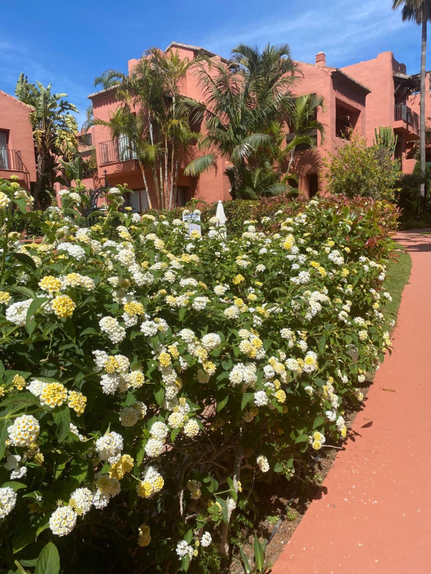Appartement Don Carlos *
